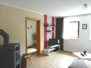 a living room with a fireplace and a television at Ferienwohnung Paul Schwarzenberg in Schwarzenberg