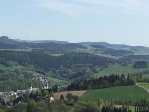 Blick auf ein grünes Tal mit Häusern und Bäumen in der Unterkunft Ferienwohnung Paul Schwarzenberg in Schwarzenberg