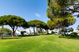 Κήπος έξω από το Blue Apartment in Prainha