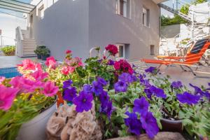 Zahrada ubytování Skandalakis Homes & Apartments