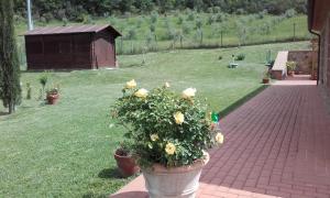 A garden outside Agriturismo Val di Sterza