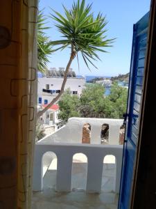 a view of a palm tree from a window at Oasis Hotel Loutro in Loutro
