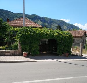 ein mit Efeu bedecktes Gebäude neben einer Straße in der Unterkunft Apartment Monika in Kotor