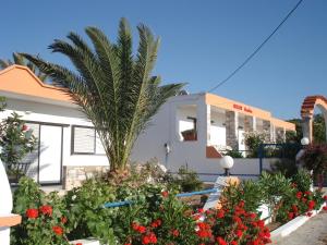 a house with a palm tree and flowers in front of it at Nikos Studios in Kefalos