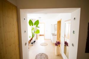 Fotografie z fotogalerie ubytování Apartma v destinaci Ormoz