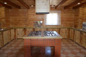 a kitchen with a stove top in a cabin at Pulemchanka in Pulemets