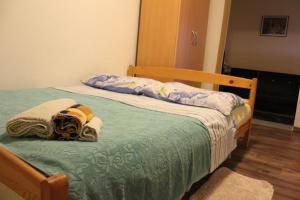 Postel nebo postele na pokoji v ubytování Apartment Marijana