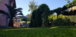 Zahrada ubytování Hotel Ambra