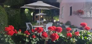 Zahrada ubytování Hotel Ambra