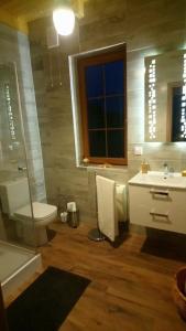 a bathroom with a toilet and a sink and a tub at Lavender Cottage in Charzykowy