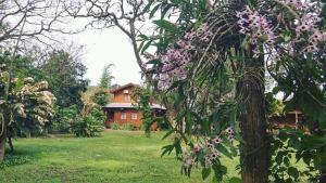 a house in a yard with a tree with purple flowers at Posada de los Árboles in Eldorado +8 photos