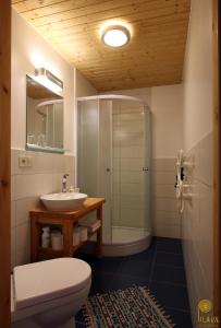 a bathroom with a shower and a toilet and a sink at Pilava in Roja