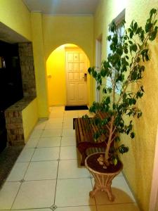 里韦拉Petit Rivera Hotel的相册照片