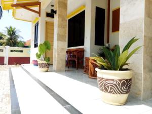 A garden outside Ahlen Pangandaran
