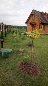 a garden with a small tree in front of a house at Lavender Cottage in Charzykowy