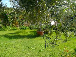 Φωτογραφία από το άλμπουμ του Kiteshomes σε Masainas