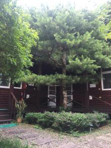 Zahrada ubytování Yu Ho Yuan Lesiure Homestay