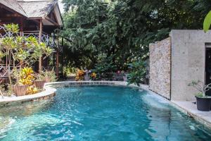 una piscina in un cortile alberato di Serene Beach Villa a Gili Trawangan