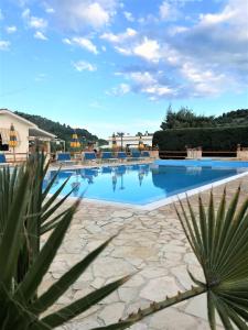 Бассейн в Residence Palm Garden или поблизости
