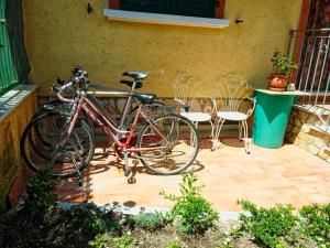 Jazda na bicykli v okolí ubytovania Sally's B&B