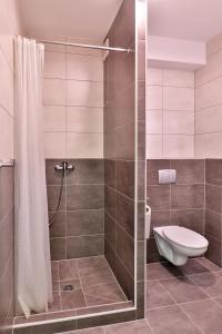 a bathroom with a toilet and a shower at Apartamenty w Istebnej in Istebna