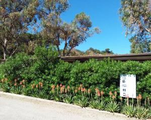 a garden of flowers with a sign in front of it at Camping Reale in Porto Azzurro