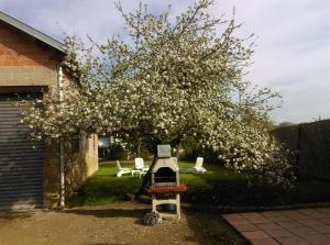 Een tuin van Aux 3 Loups