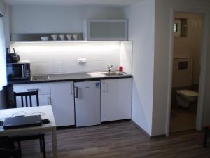 Kuchyňa alebo kuchynka v ubytovaní Apartment Za Poštou
