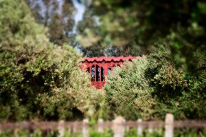 Fotografie z fotogalerie ubytování Ryad de Vignes " Le Val d'Argan " v destinaci Ounara