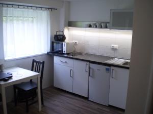 Kuchyňa alebo kuchynka v ubytovaní Apartment Za Poštou