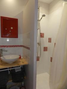 ein Bad mit einer Dusche und einem Waschbecken in der Unterkunft La Maison des Escargots in Blanzay