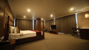 Regenta Central Somnath, Bhalpara的电视和/或娱乐中心
