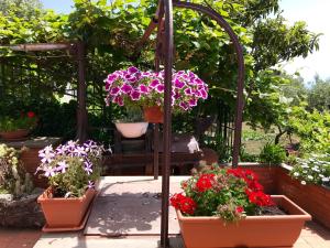 Zahrada ubytování b&b Casa di Antonio_Etna Vacanze