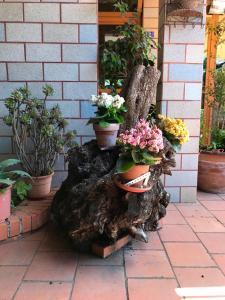 Zahrada ubytování b&b Casa di Antonio_Etna Vacanze