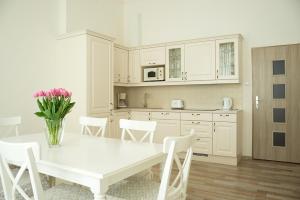 Virtuvė arba virtuvėlė apgyvendinimo įstaigoje Apartment Aesculap