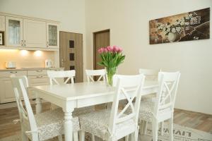 Fotografie z fotogalerie ubytování Apartment Aesculap v destinaci Karlovy Vary