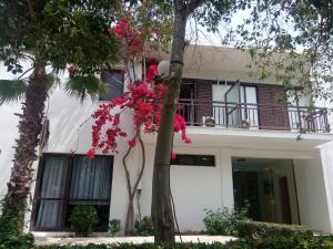 Το κτήριο όπου στεγάζεται  το bed & breakfast