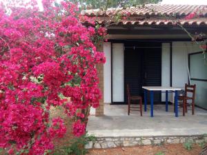 Κήπος έξω από το Hotel Dougas