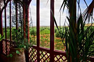 Zahrada ubytování Ryad de Vignes " Le Val d'Argan "