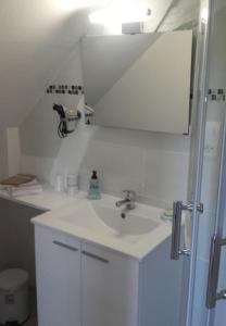 eine Küche mit einem Waschbecken und einem weißen Schrank in der Unterkunft Chambres La Guéjaillière in Beaumont-Pied-de-Boeuf