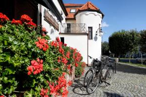 Jízda na kole v ubytování Oliwa Park Residence nebo okolí