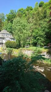 - une vue sur une rivière avec une maison et des arbres dans l'établissement Tradition Monschau 3, à Monschau