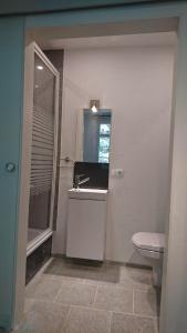 La salle de bains est pourvue d'un lavabo et de toilettes. dans l'établissement Tradition Monschau 3, à Monschau