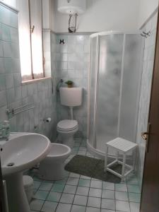 a bathroom with a shower and a toilet and a sink at B&B Casa Piras in Barùmini