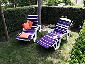 Zahrada ubytování Apartment Ana
