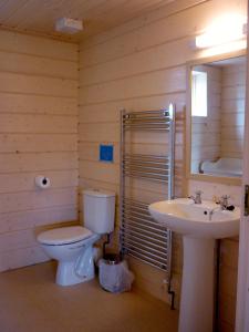 a bathroom with a toilet and a sink at Lapwing, Skylark & Curlew Seaside Chalets in Kirkbean