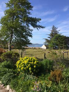 a garden with flowers and a tree in a field at The Lovecroft Guest House in Laide