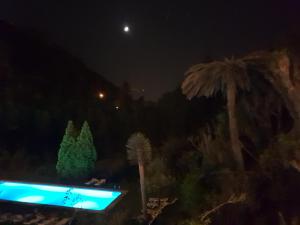 a view of a pool at night with a palm tree at Hotel Sintra Jardim in Sintra