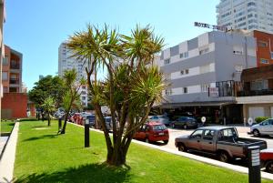 Hotel 24 في بونتا دل إستي: مجموعة من أشجار النخيل على جانب أحد الشوارع