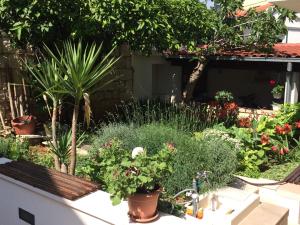 Vonkajšia záhrada v ubytovaní Guesthouse Kresic